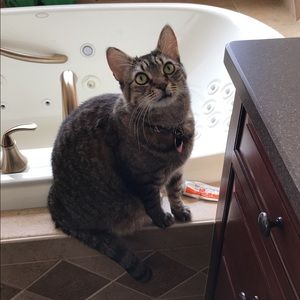 Meet your Posher, Maria